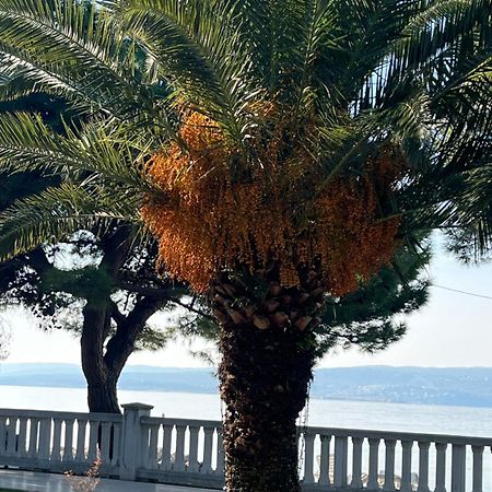 Crikvenica Right On The Beach ภายนอก รูปภาพ