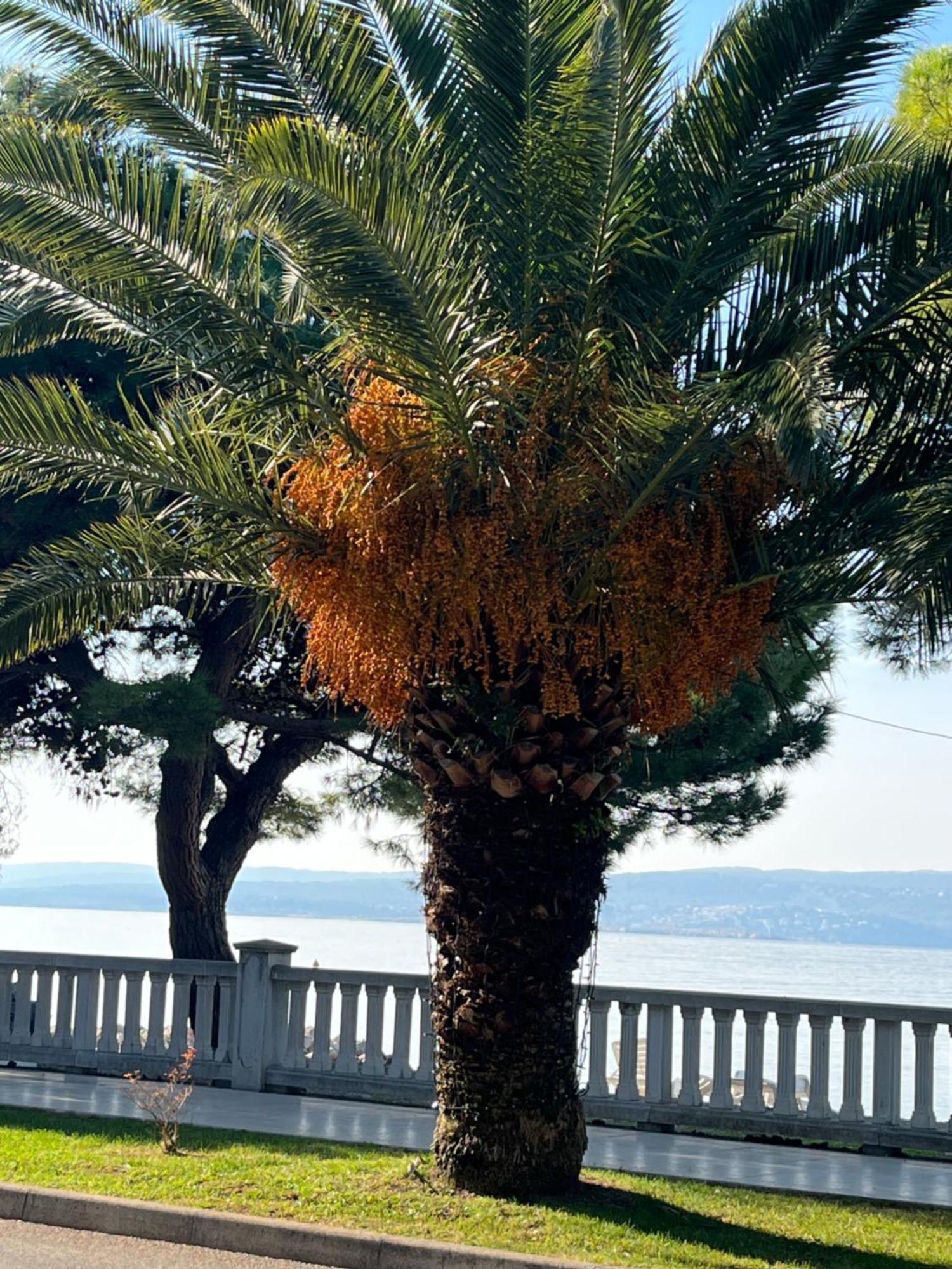 Crikvenica Right On The Beach ภายนอก รูปภาพ